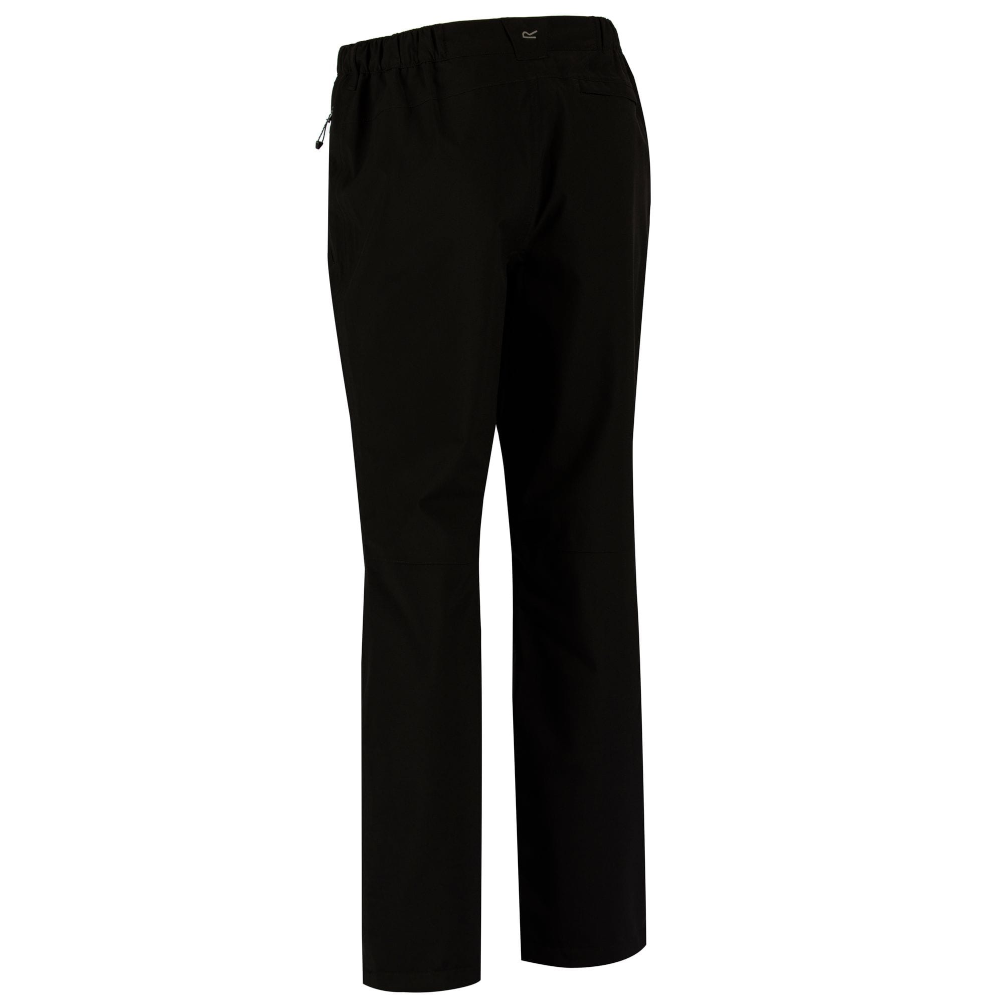Regatta Dayhike III Mens Trousers Long 
