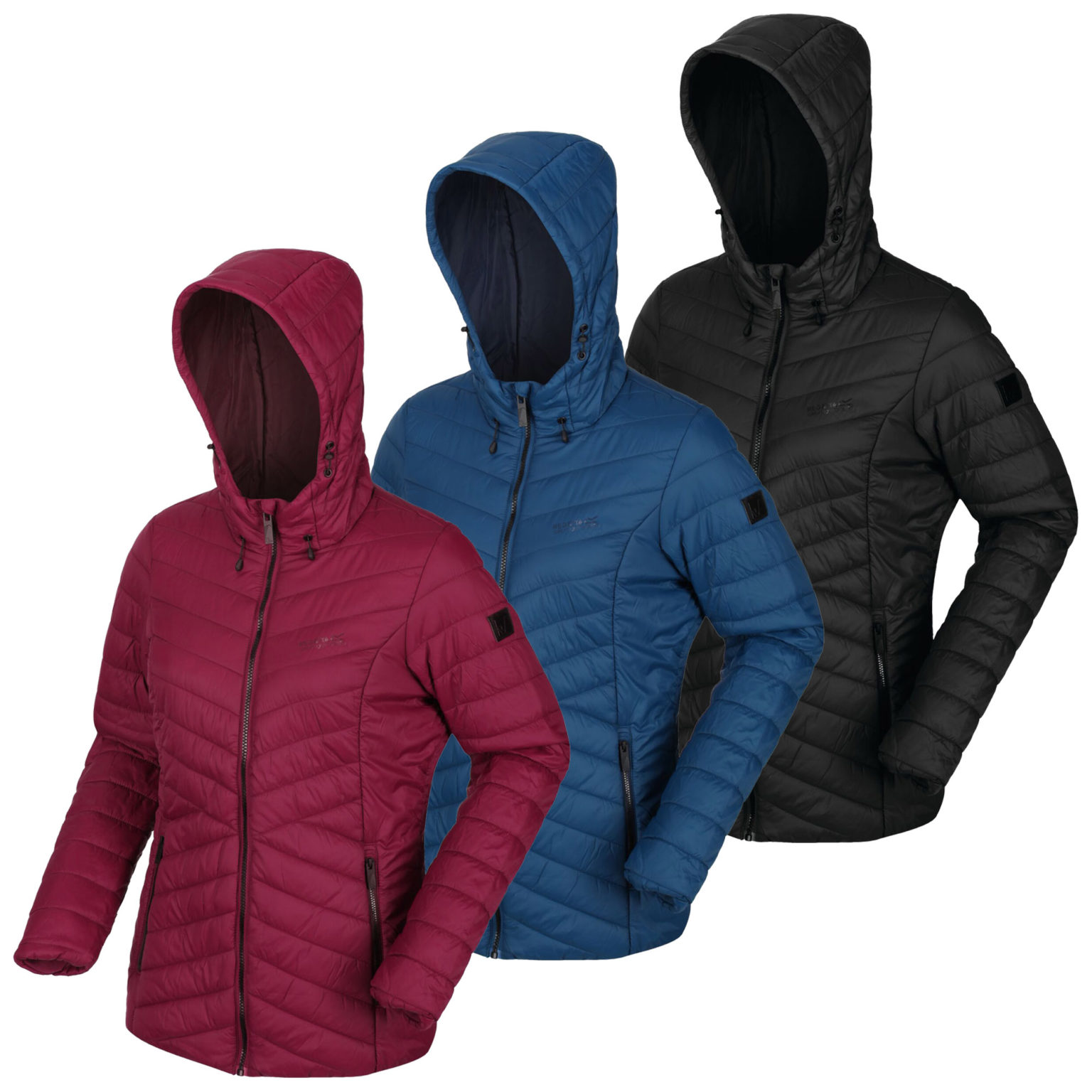 Regatta Voltera Loft Womens Heated Jacket Run Charlie