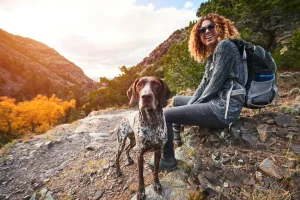 hiking with dogs