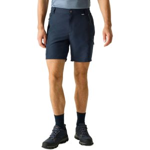 Regatta Mens Leesville Shorts III