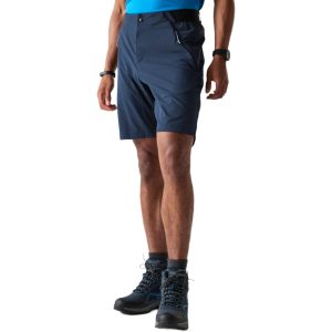 Dare 2b Mens Torrek Lite Shorts