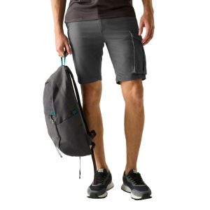 Regatta Mens Bendrick Shorts